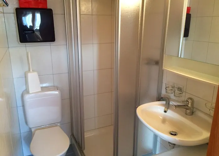 Gruppenhaus Im Walliser Alpstyle Хостел Rosswald