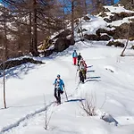 Gruppenhaus Im Walliser Alpstyle *